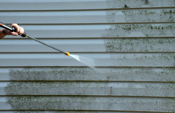 Best Exterior Home Cleaning  in Folkston, GA